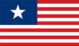 Texas Navy Flag 1836